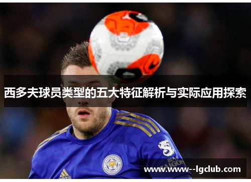 西多夫球员类型的五大特征解析与实际应用探索 西多夫球员类型的五大特征解析与实际应用探索