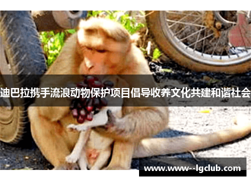 迪巴拉携手流浪动物保护项目倡导收养文化共建和谐社会 迪巴拉携手流浪动物保护项目倡导收养文化共建和谐社会