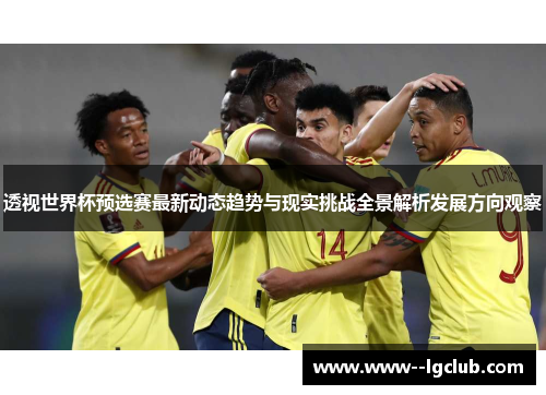 透视世界杯预选赛最新动态趋势与现实挑战全景解析发展方向观察