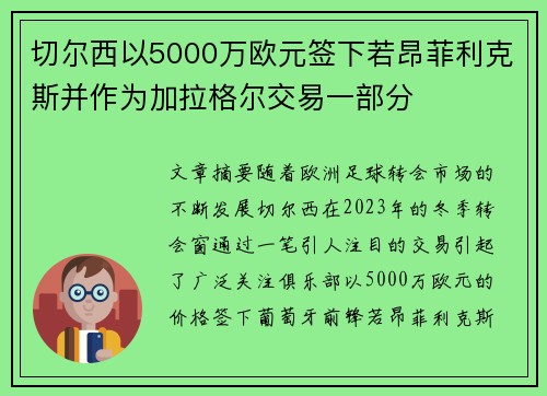 切尔西以5000万欧元签下若昂菲利克斯并作为加拉格尔交易一部分