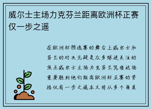 威尔士主场力克芬兰距离欧洲杯正赛仅一步之遥 威尔士主场力克芬兰距离欧洲杯正赛仅一步之遥